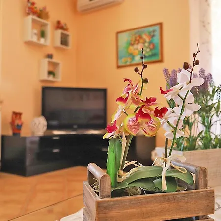 Lucy's Villa *